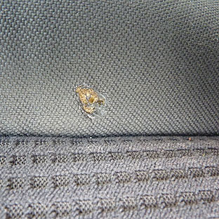 Ein kleines Brandloch kann schnell Schwierigkeiten verursachen. Ein kleines Brandloch kann schnell Schwierigkeiten verursachen.